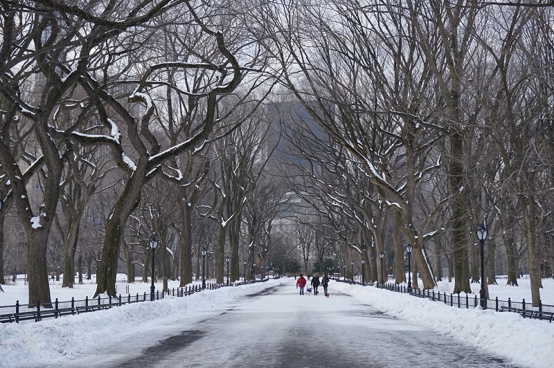 The Mall-winter in Central Park 2